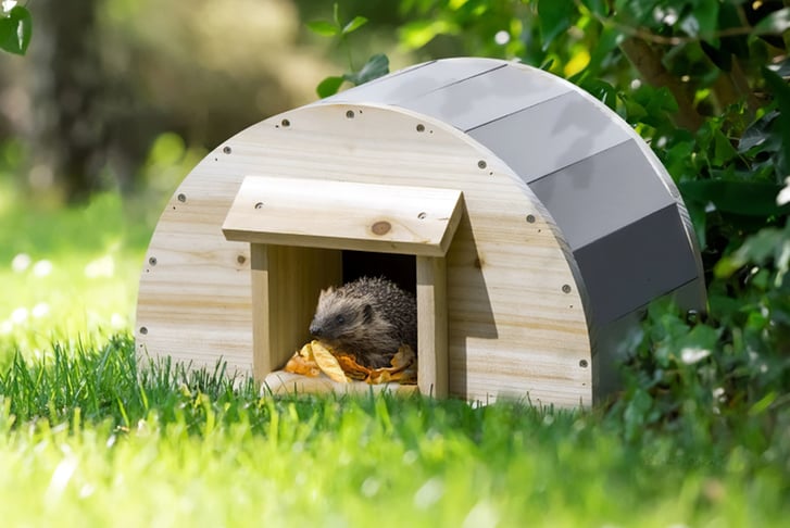 PawHut-Wooden-Hedgehog-House-Outdoor-1