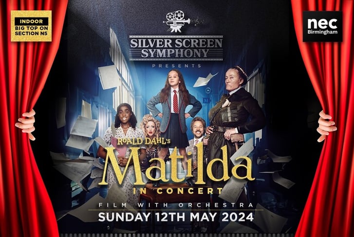 Matlida In Concert - Film With Orchestra