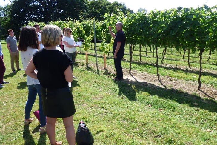 English Wine Tasting Tours