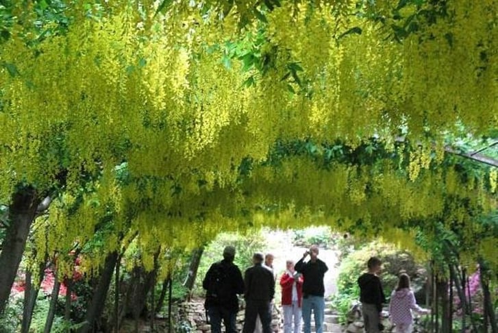 bodnant-gardens-renowned