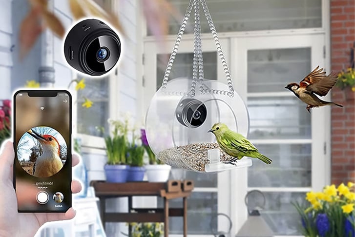 Smart-Bird-House-and-Feeder-1