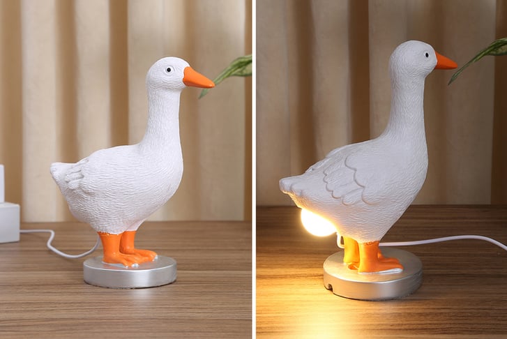 Resin-Funny-Chicken-or-duck-4