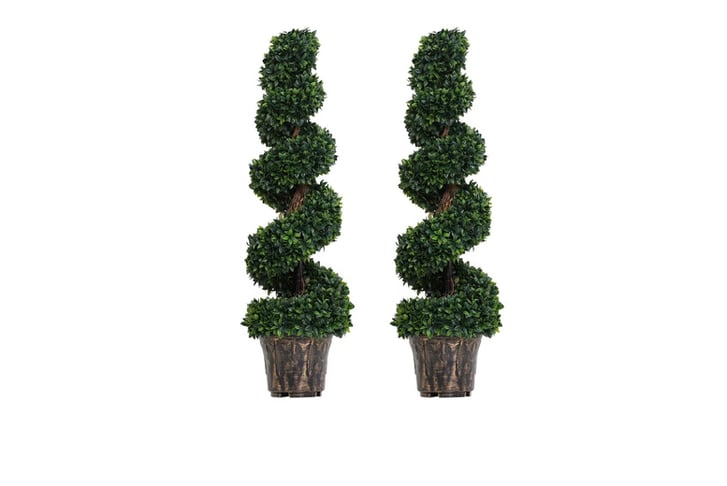 Spiral Topiary Trees-2