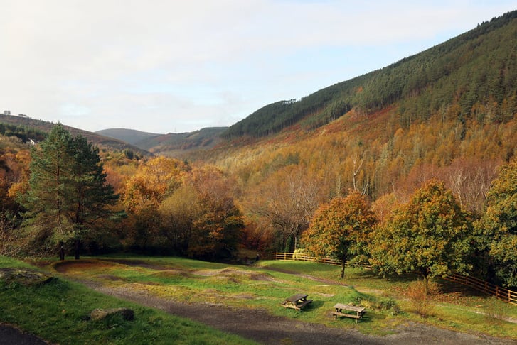 Afan Lodge 16