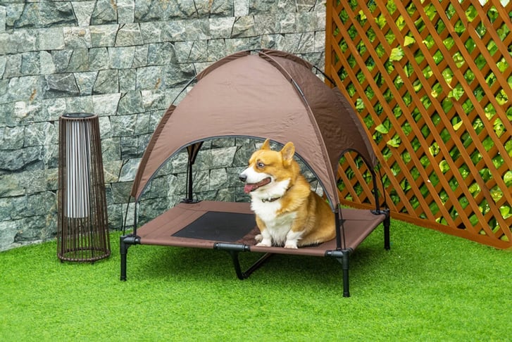 Raised outdoor dog bed best sale