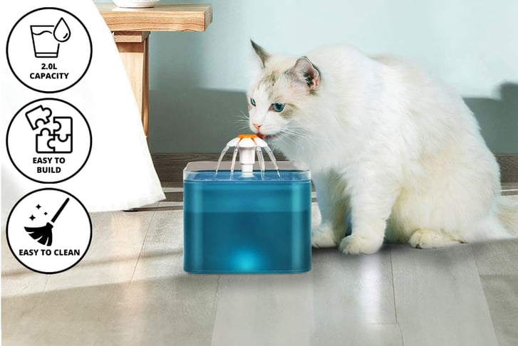 Easy to clean cat water fountain hotsell