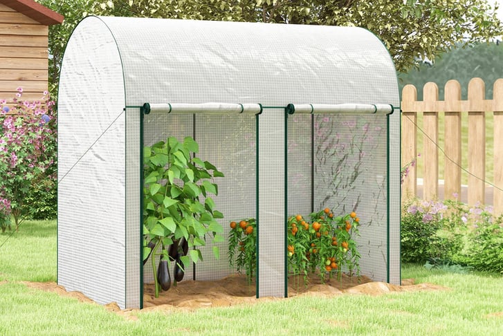 Outsunny-200-x-100cm-Walk-In-Greenhouse-1