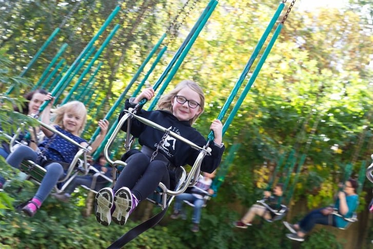 tree-tops-swing