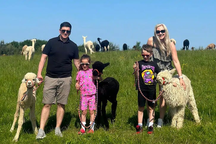 1 Hour Alpaca Experience with Hannahston Alpacas, Glasgow_3