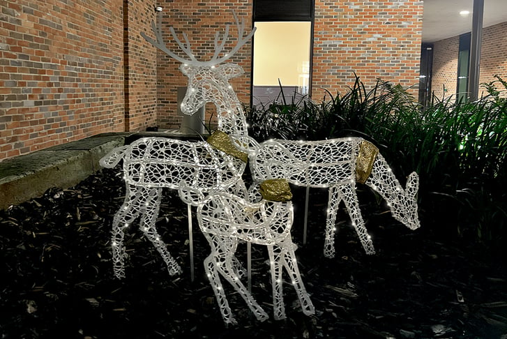 Reindeer-Family-Christmas-Garden-Lights-1