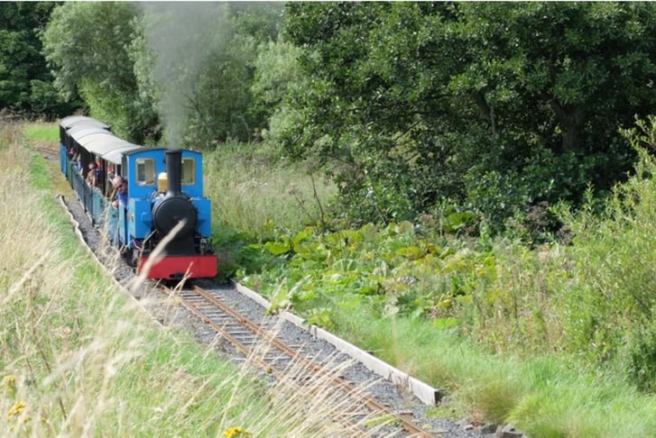 Footplate Experience at Heatherslaw Light Railway: Newcastle_1