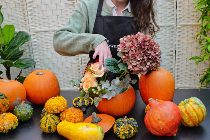 BYOB Pumpkin Flower Workshop for 1-8 People  w/£10 Voucher - Finchley, London