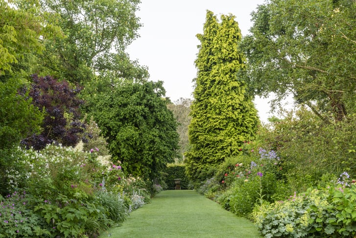 Entry to Barnsdale Gardens with Cream Tea & Family Options