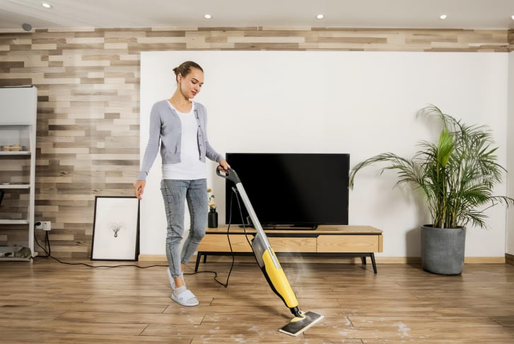 feed_opt_google_Karcher-Steam-Cleaner-KST2-Upright-6