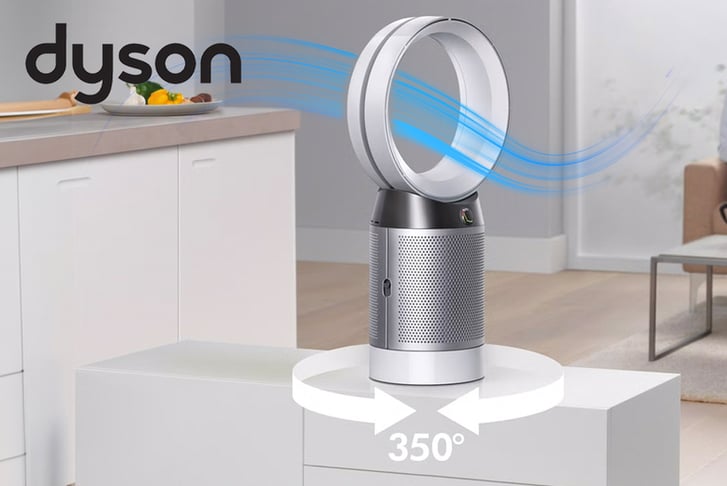 dyson-lead-1