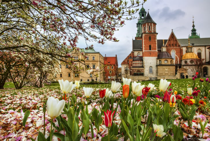 Wawel Hill Krakow (1)