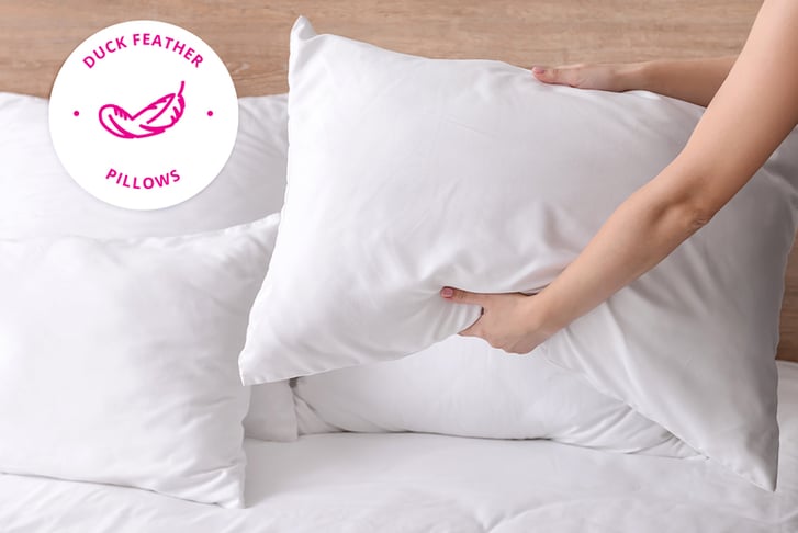 Duck-Feather-Pillows-1