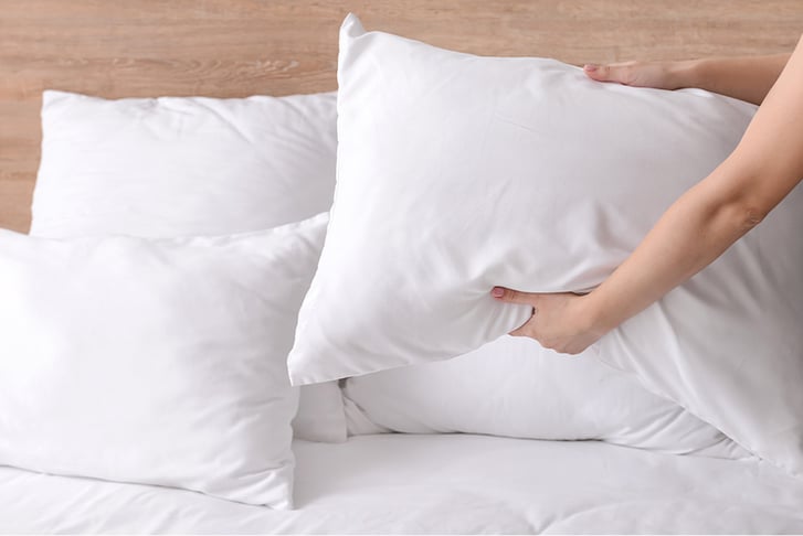 feed_opt_google_Duck-Feather-Pillows-4