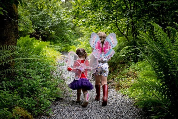 Loch Lomond Faerie and Nature Trail Vouchers Xmas 2024