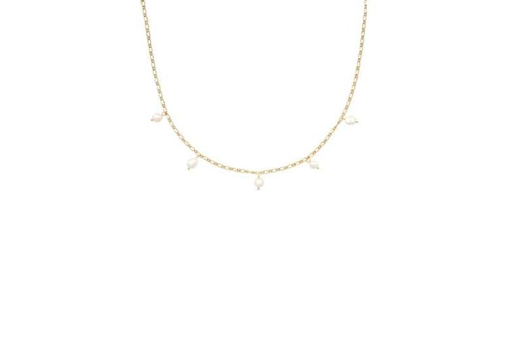 dainty-gol1734353554365