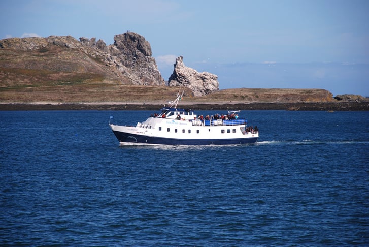 Scenic Dublin Bay Cruise for 2-4