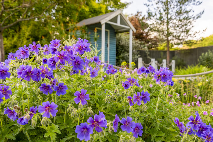 Barnsdale Garden Entry & Afternoon Tea for 1 or 2 