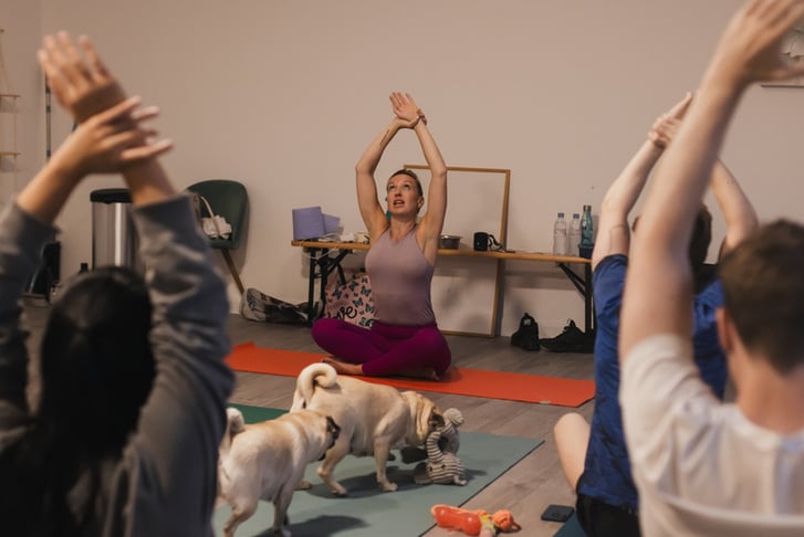 1 Hour Puppy Yoga Session for Kids and Adults in Elephant & Castle