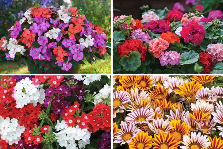 PRE-SALE-15TH-APRIL-Summer-Patio-Container-1