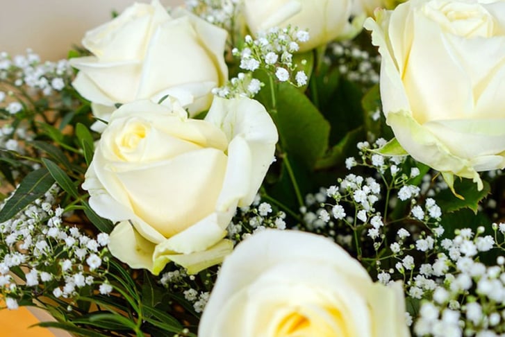 feed_opt_google_Valentines-Day-White-Dozen-4