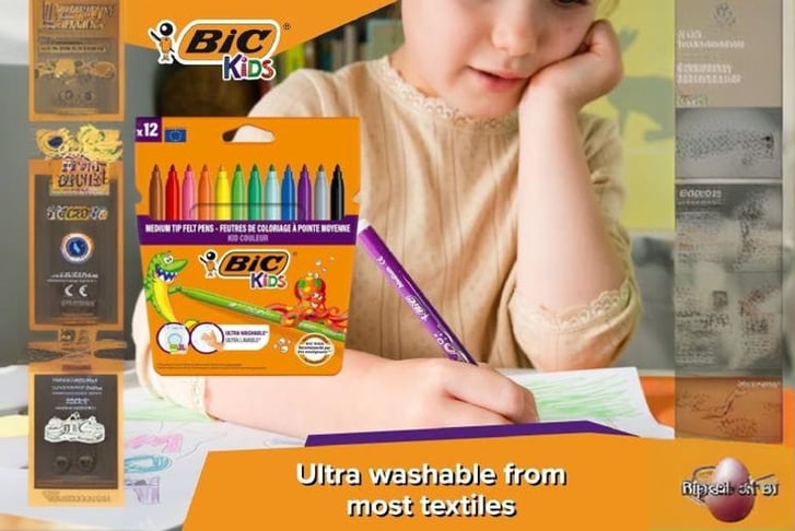 bic-20_new1739272517931