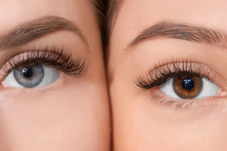 Lash & Brows Course