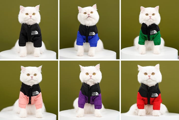 Comfortable-Warm-Autumn-Winter-Pet-Jacket-1