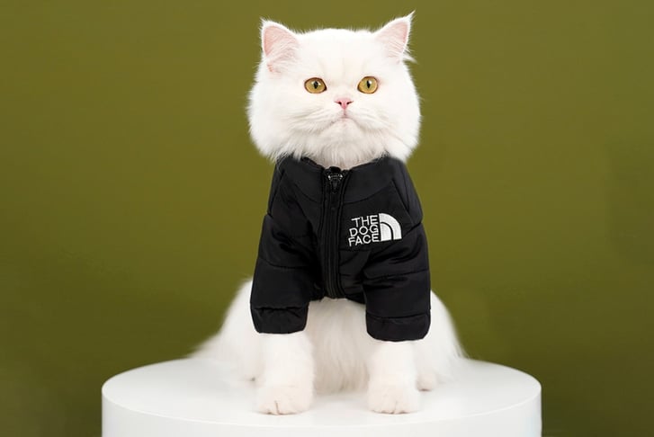 Comfortable-Warm-Autumn-Winter-Pet-Jacket-2