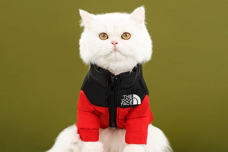 feed_opt_google_Comfortable-Warm-Autumn-Winter-Pet-Jacket-8