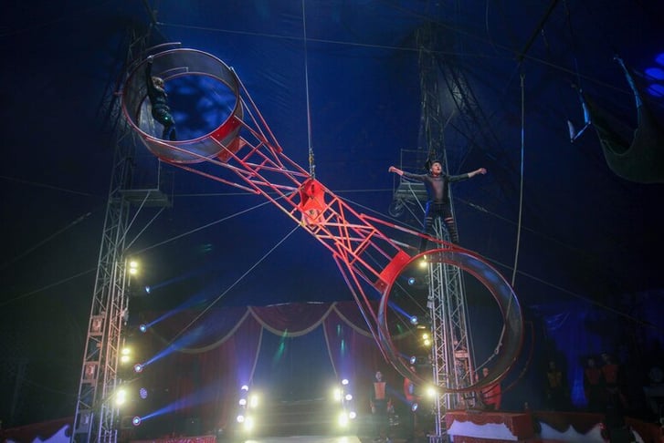 Circus Gerbola 4