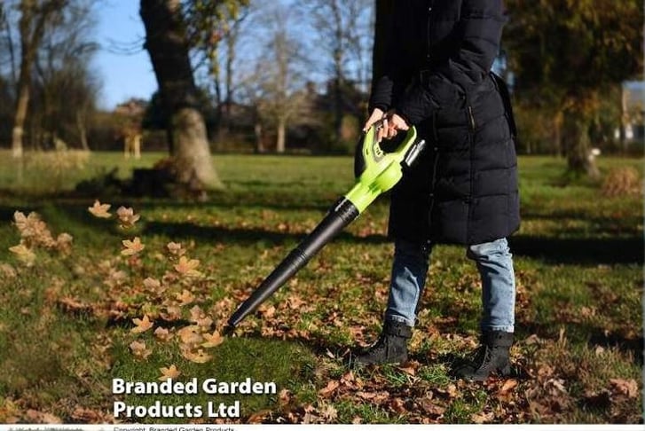 LEAF_BLOWE1741085695111