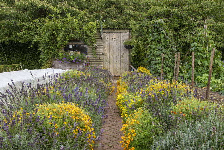 Entry to Barnsdale Gardens with Cream Tea & Family Options