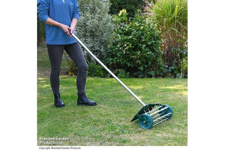 LAWN_GGAER1741788398126