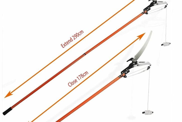 1615979365284_prunerlopper.