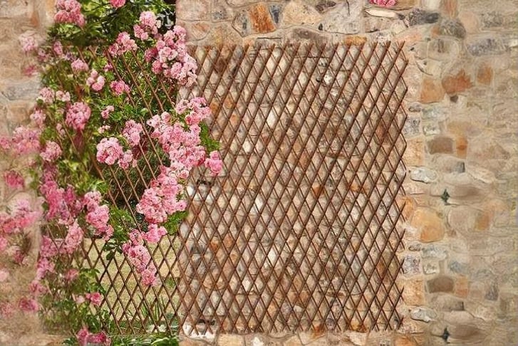 a9.jpg1745582402195