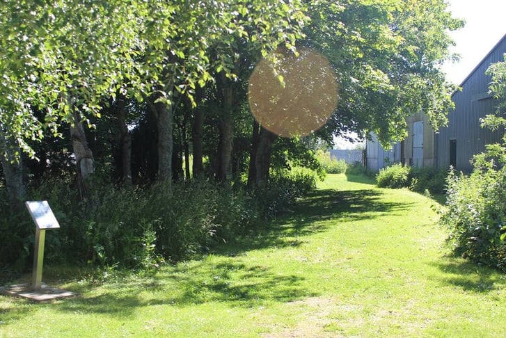 woodland walk