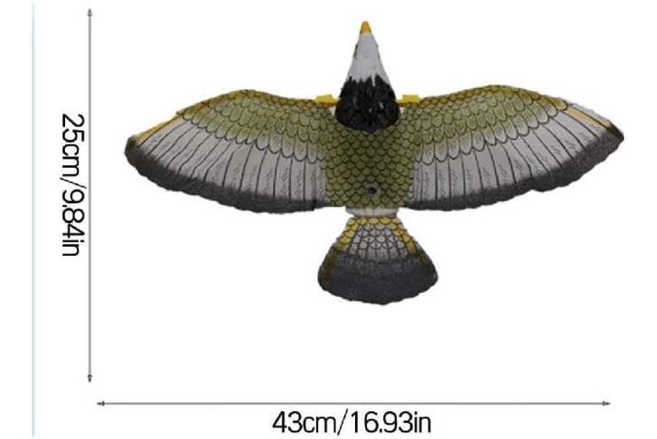 60311.jpg1747224544541