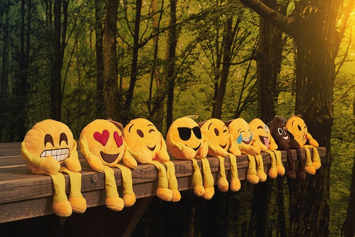2TKC-Sales-Ltd-Emoji-Shelf-Buddies