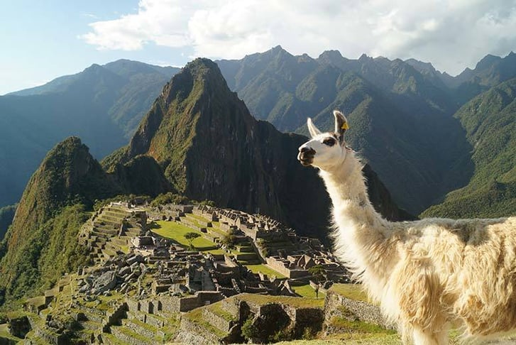 Machu Picchu Peru Stock