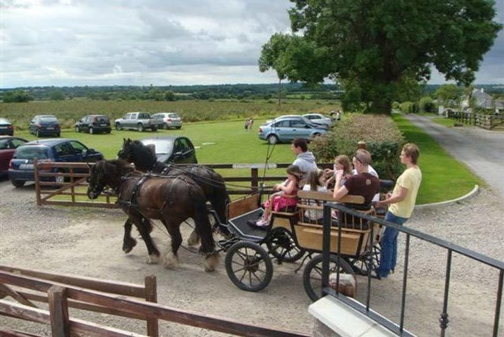 Red Mountain Open Farm, Meath Family Entry