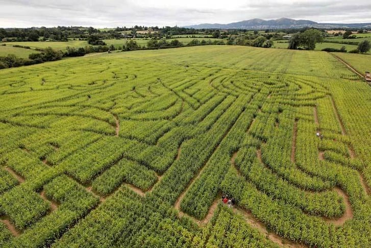 The Great Worcester Maize Maze Worcester Child, Family or Adult Ticket