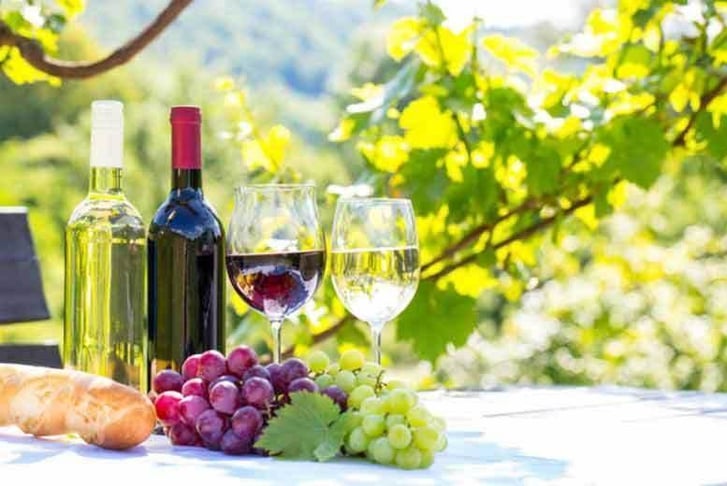 vineyard tour and tasting