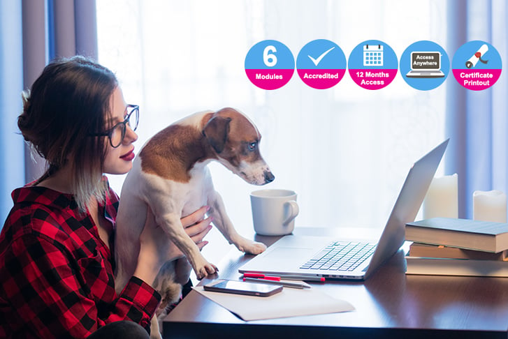 Woman and dog looking at laptop together