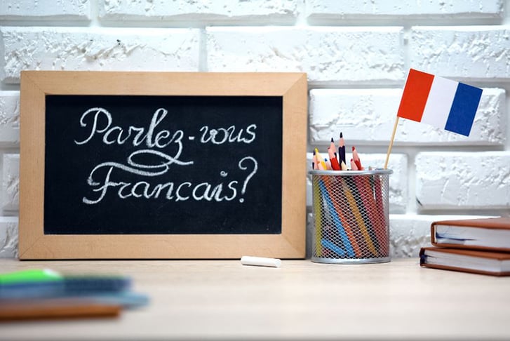 French for Beginners Course from One Education