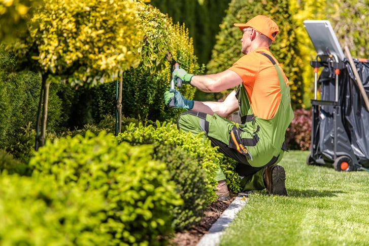 Landscaping Stock Image